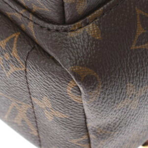 Louis Vuitton Canvas Brown Daypack Palm Backpack Springs Monogram - Picture 8 of 9